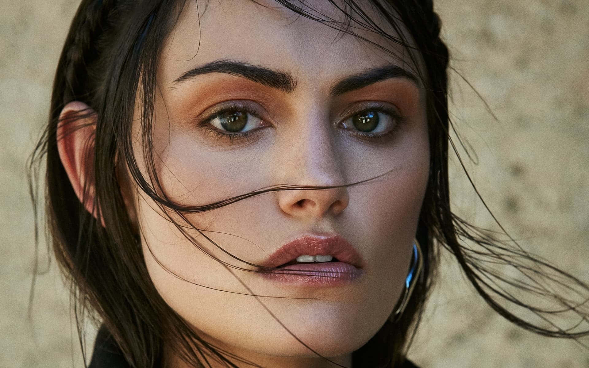 Phoebe Tonkin Bakgrunnsbildet