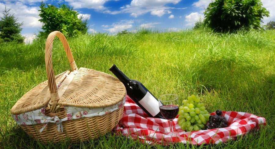 Picnic setup with basket wine and grapes on grass under blue sky — Picnic Background