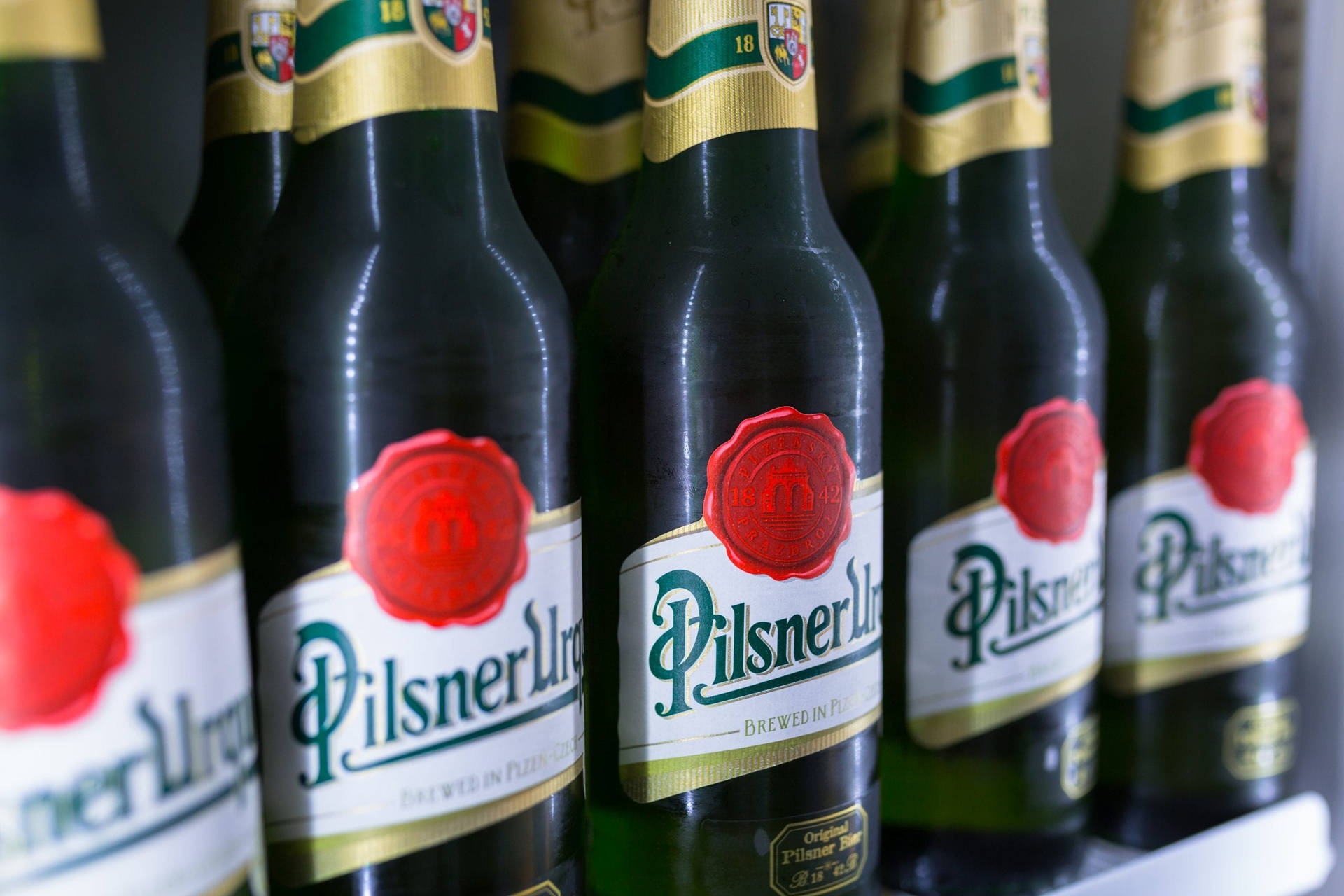 Pilsner Urquell Wallpaper