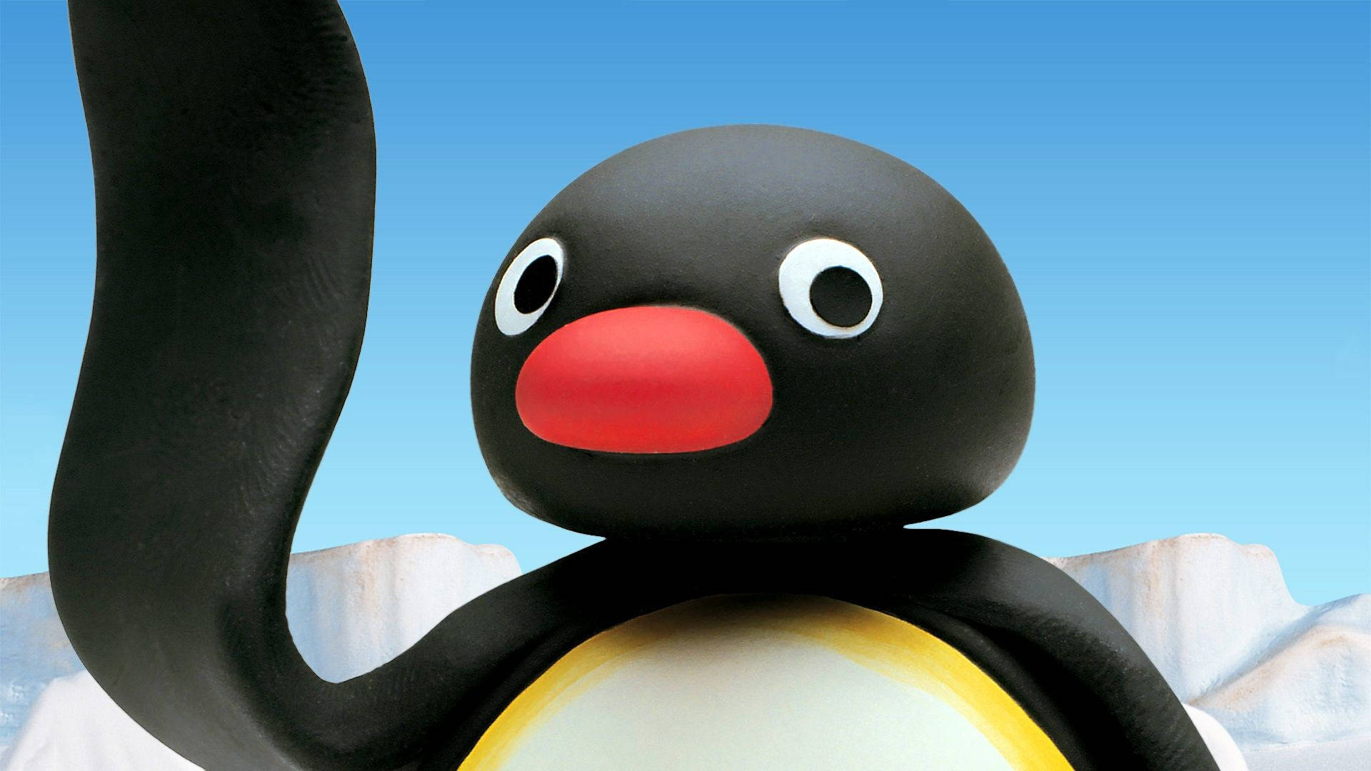 Pingu Foto