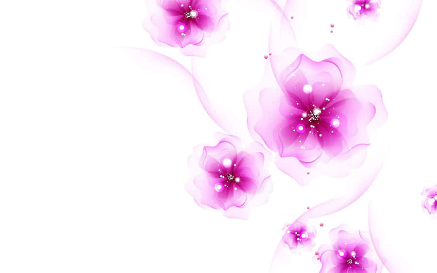 Pink And White Background Wallpaper
