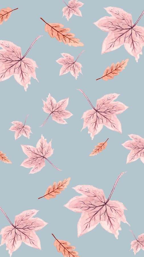 Pink and orange autumn leaves floating on a light blue background. — Pink Fall Wallpaper
