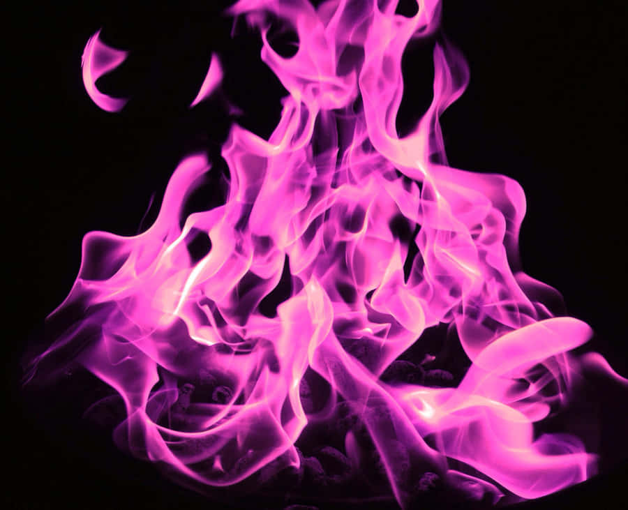 Purple flames burning brightly against a black background. — Pink Flames Wallpaper