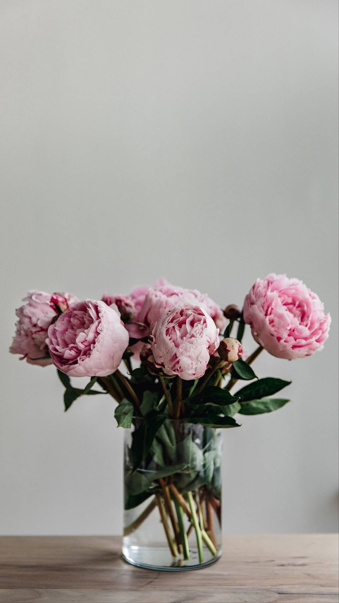 Pink Flowers Bilder