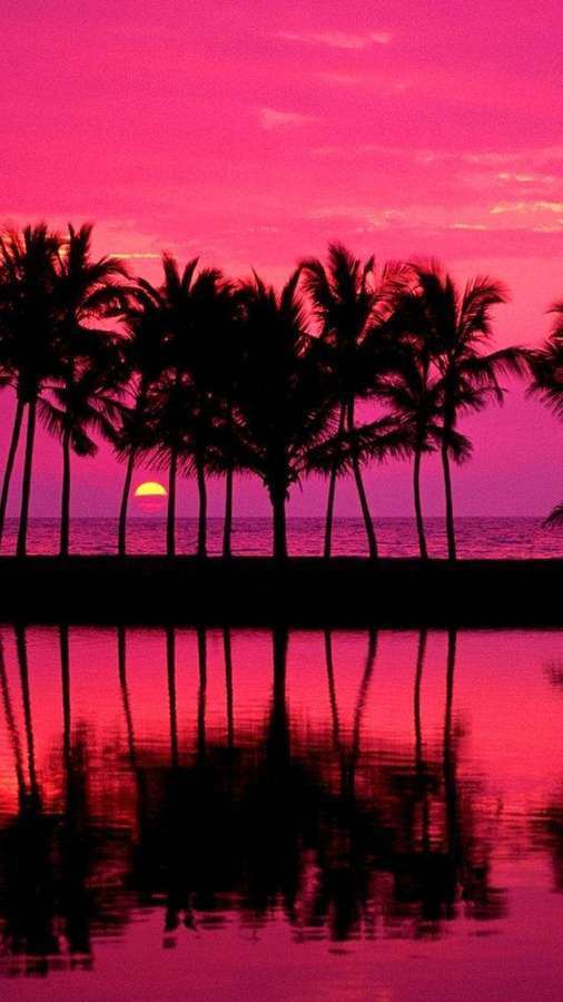 Palmeiras silhuetadas contra um pôr do sol rosa refletido em águas calmas. — Pink iPhone Papéis de Parede