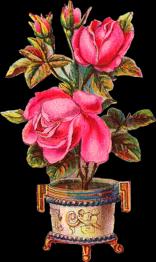 Pink Roses Png