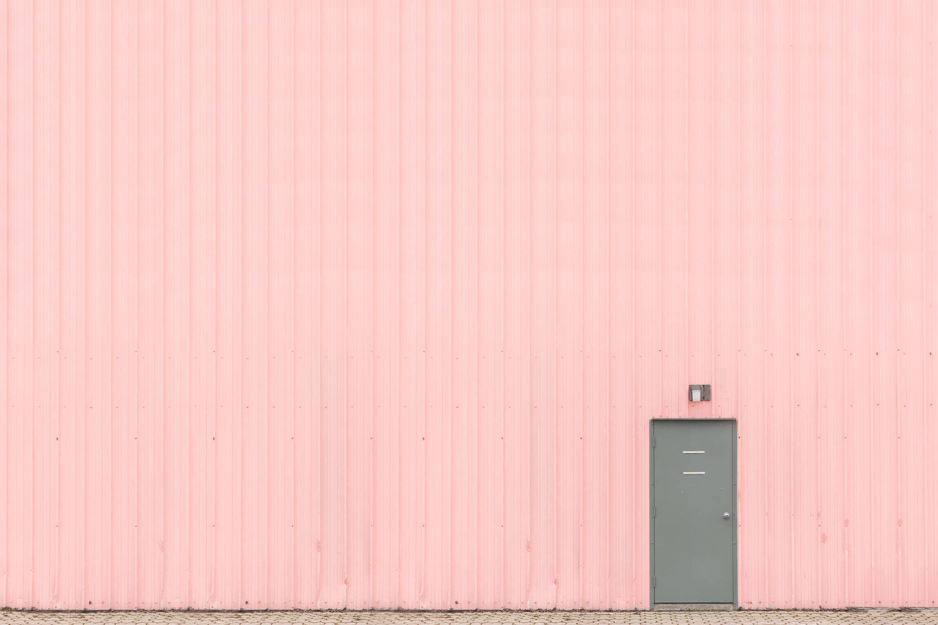 Pink Wall Bilder