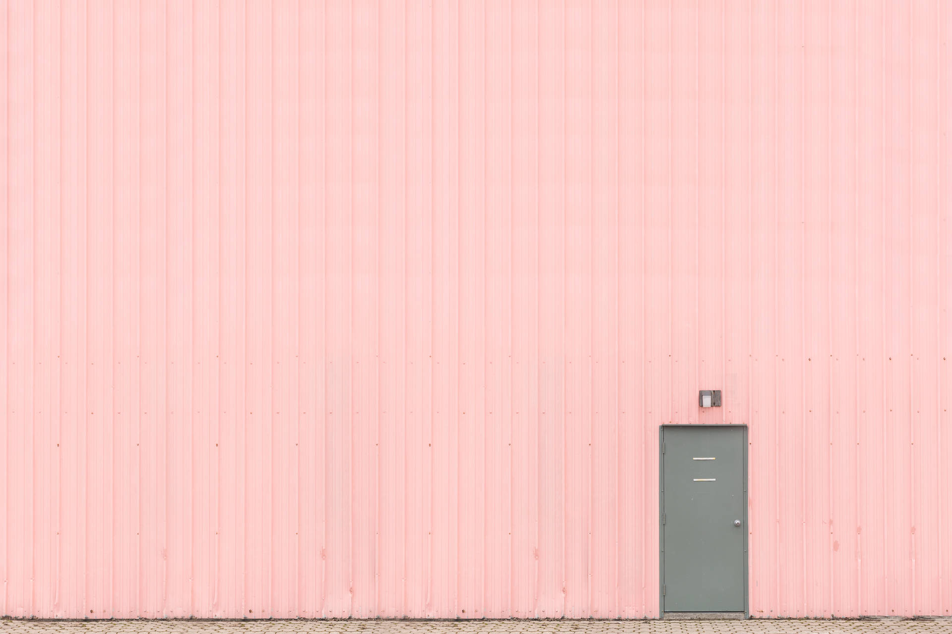 Pink Wall Wallpaper