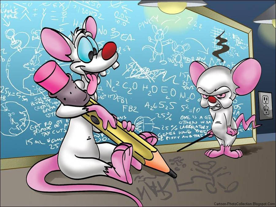 Pinky And The Brain Background Wallpaper