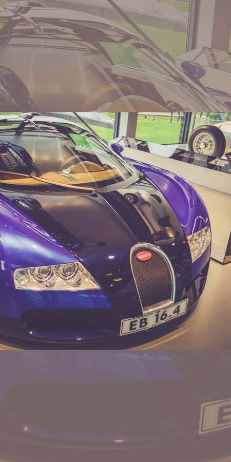 Purple Bugatti EB 16.4 sports car in a glass-walled showroom with green lawn visible outside. — Pixel 3 Bugatti Background
