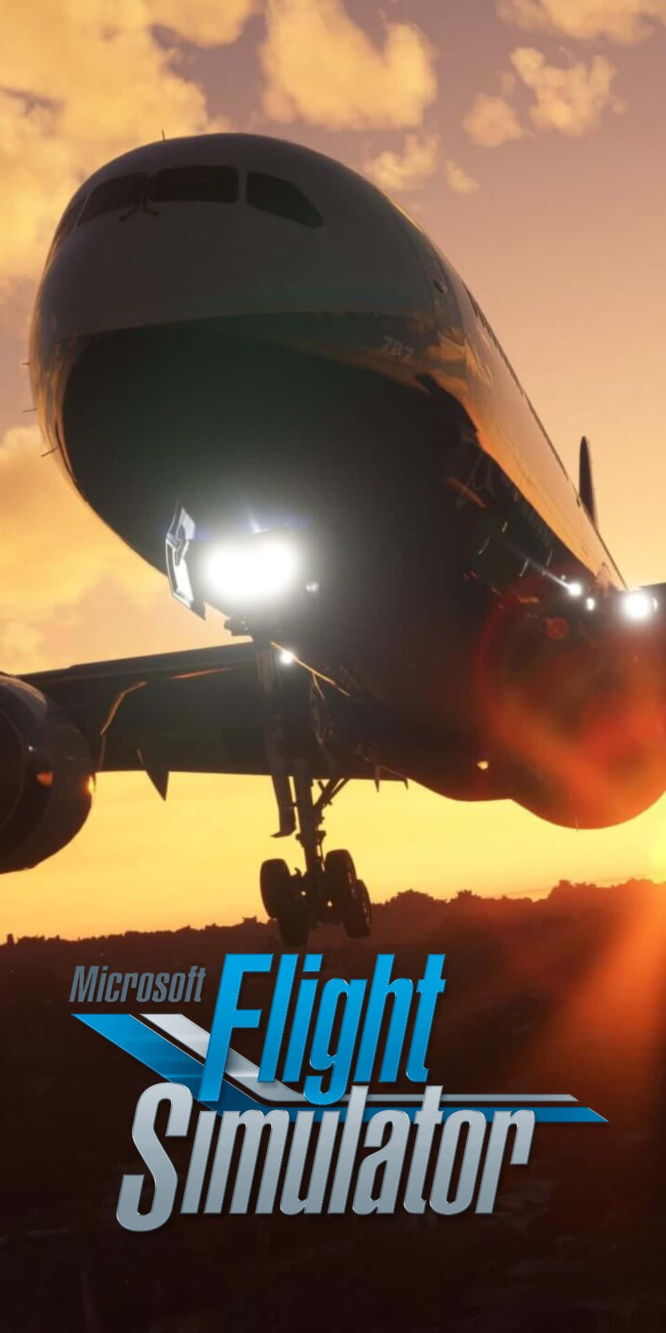 Pixel 3 Microsoft Flight Simulator Background Wallpaper