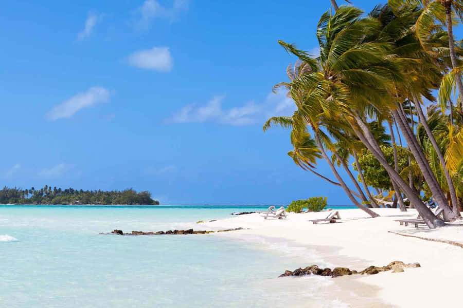 Plage Bora Bora Fond d'écran