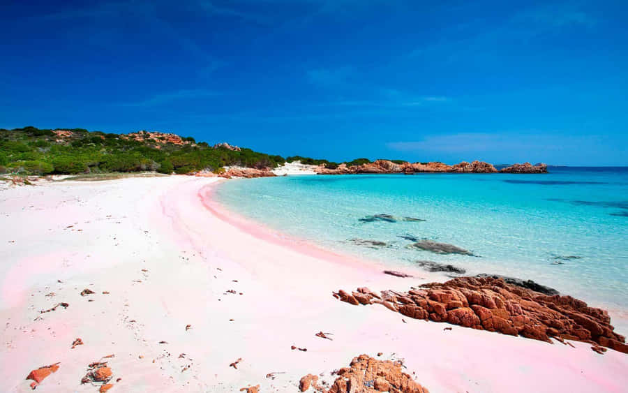 Plage De Sable Rose Fond d'écran