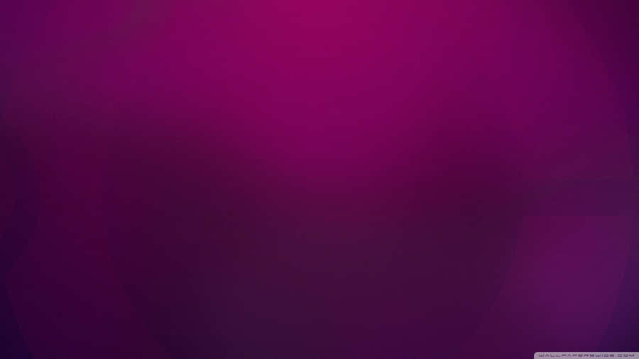 Plain Purple Background Wallpaper