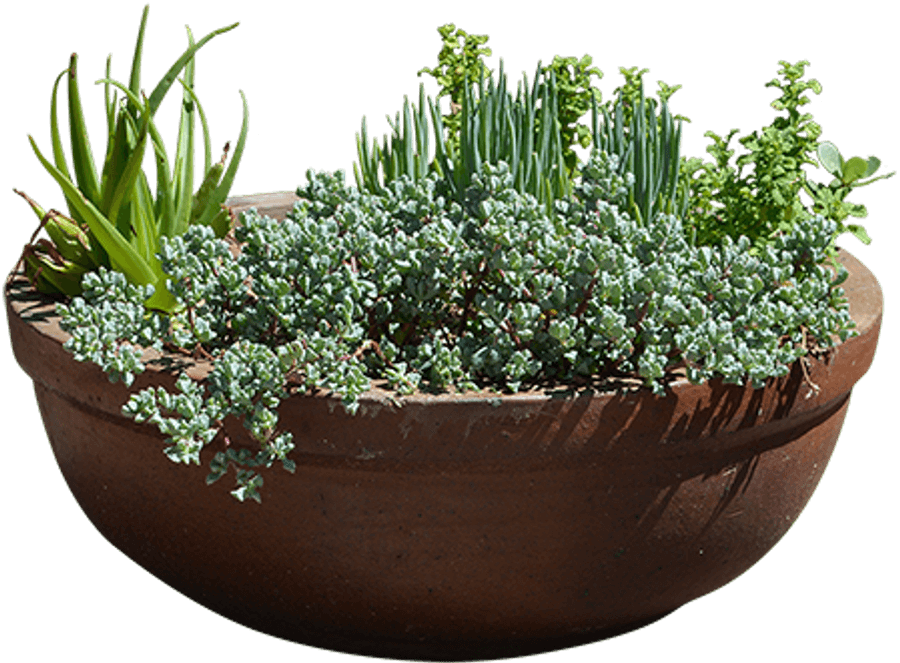 Planter Png