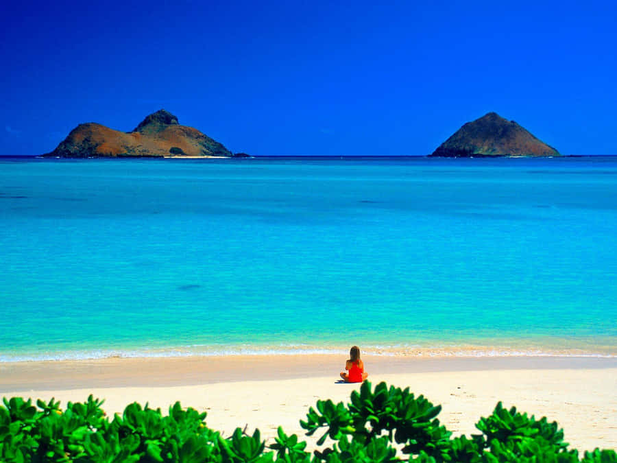 Playa De Hawaii Fondo de pantalla