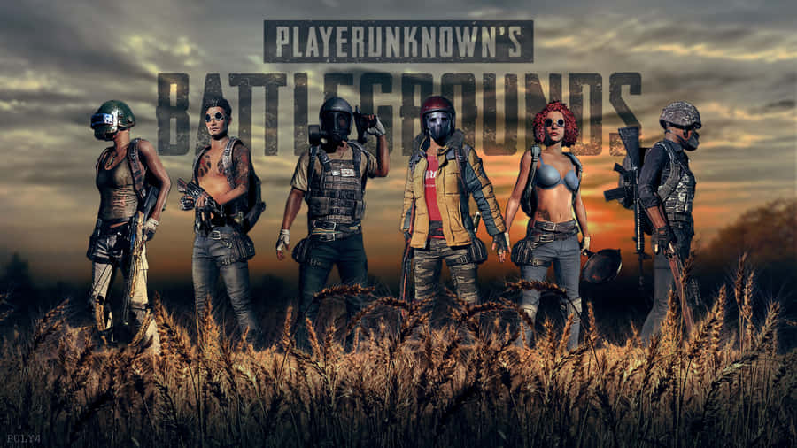 Playerunknown's Battlegrounds Background Wallpaper
