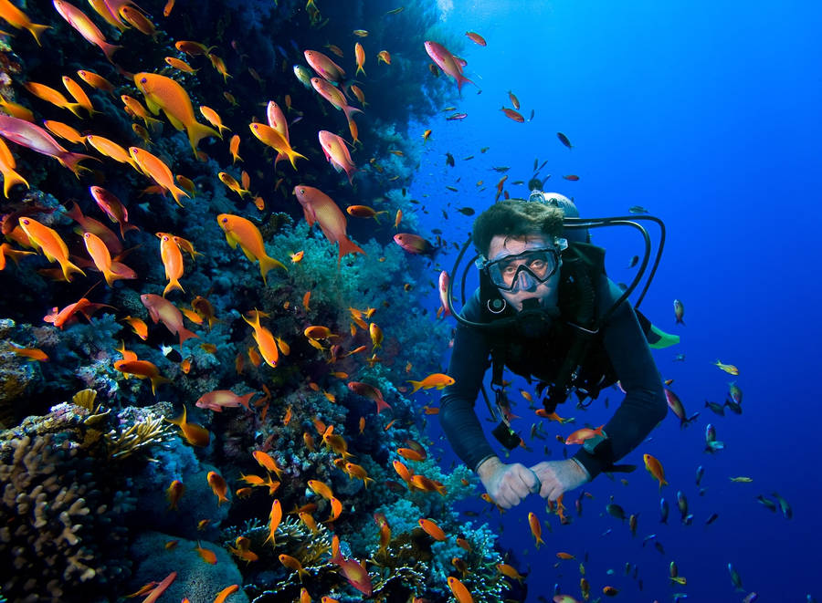 Plongée Sous-marine Fond d'écran