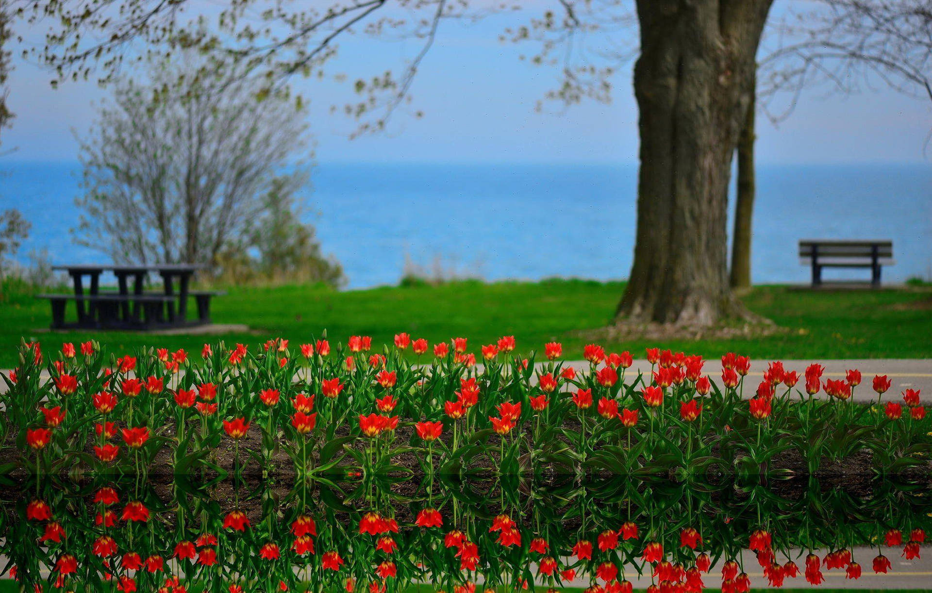 Plus Belle Printemps Fond d'écran