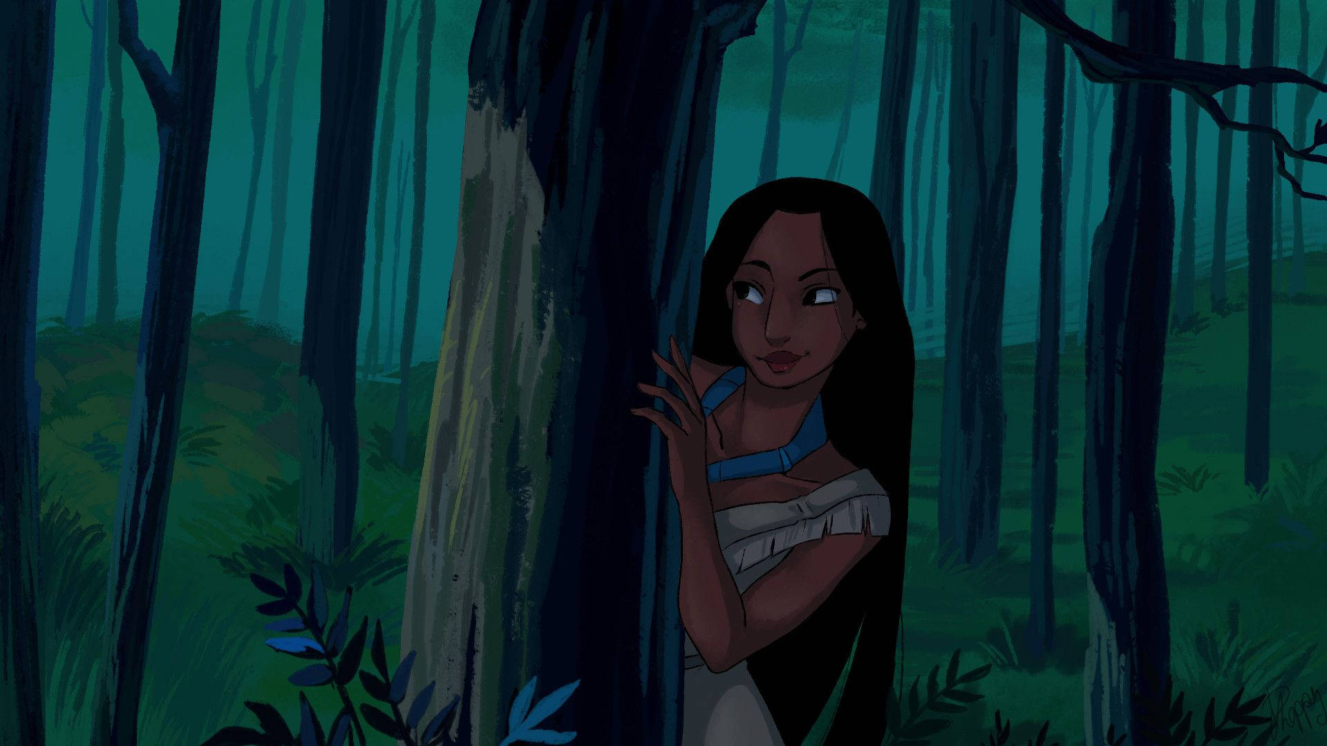 Pocahontas Achtergrond