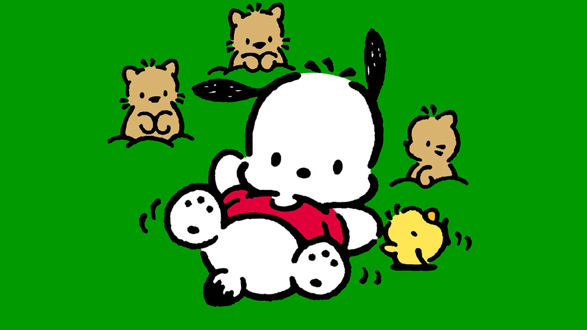 Pochacco Pictures Wallpaper