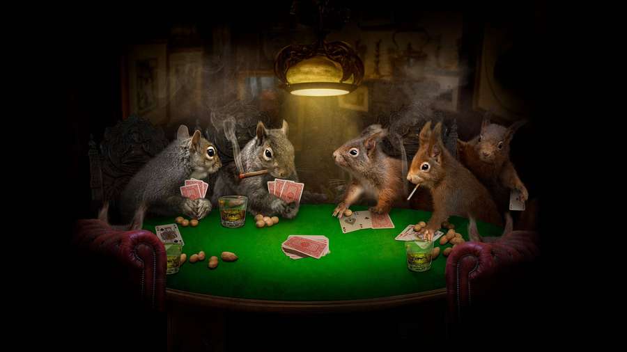 Squirrels playing poker with cigars and nuts under a single lamp in a smoky room. — Poker Wallpaper