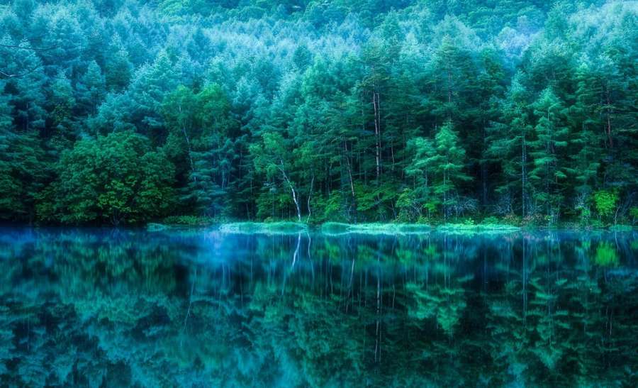 Calm turquoise lake reflecting dense green forest under daylight. — Pond Background