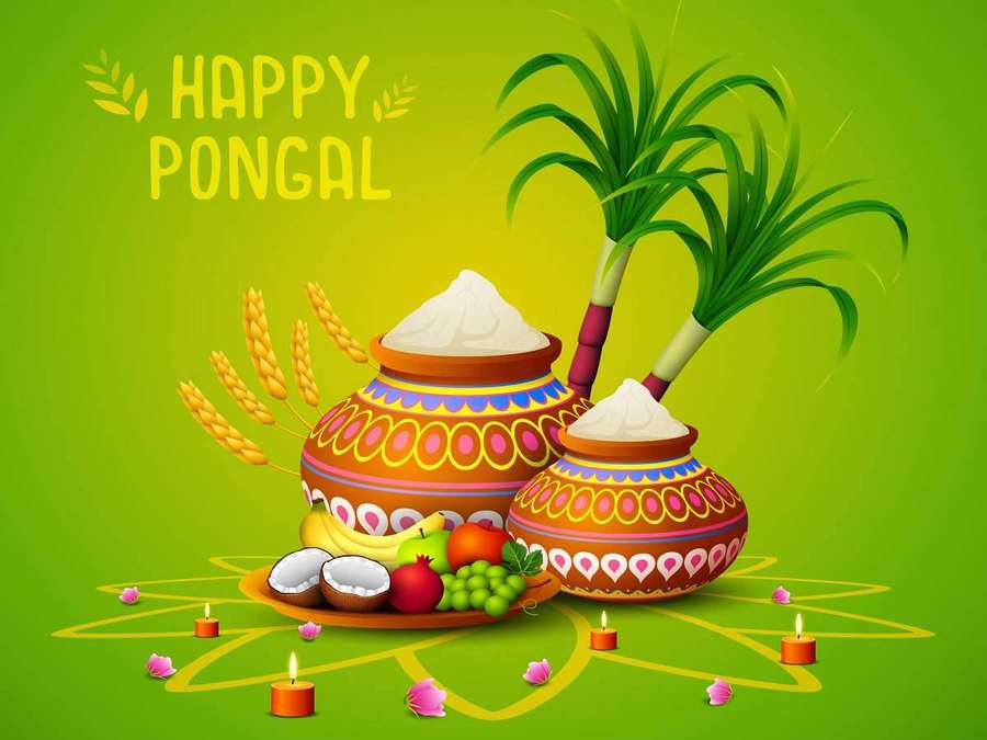Happy Pongal festival illustration with decorated pots rice sugarcane and fruits. — Pongal Wallpaper