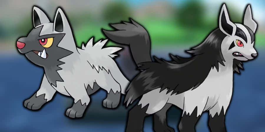 Poochyena Papel de Parede