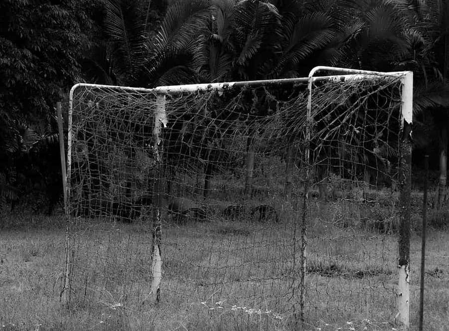 Red de arco de fútbol rota en campo de hierba con palmeras detrás — Portería Fondos de pantalla