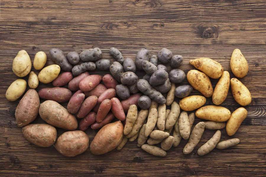 Various types of potatoes displayed on a wooden table. — Potato Background