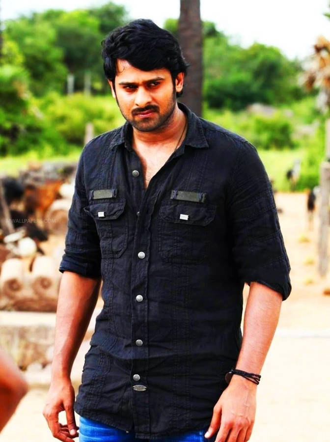 Prabhas Mirchi Achtergrond