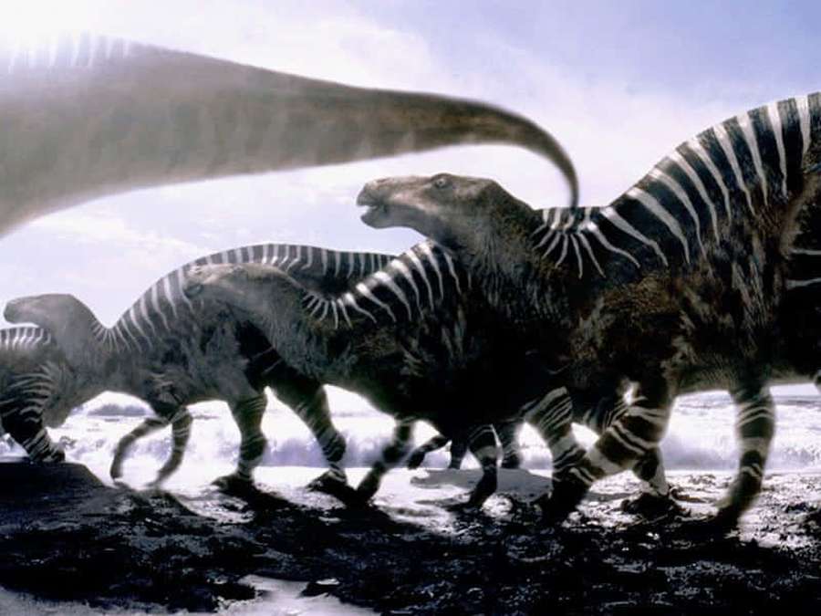 Striped dinosaurs walking on a beach with waves crashing nearby. — Predators Background