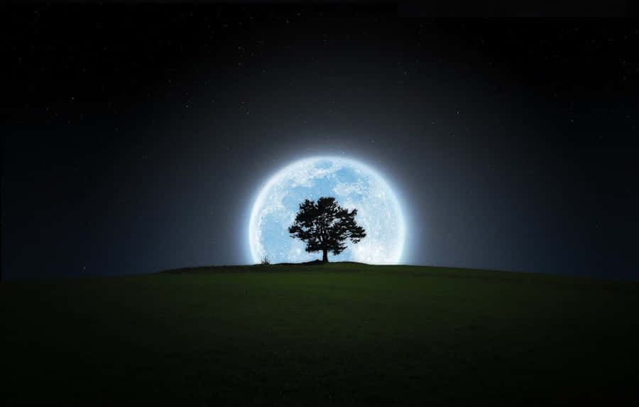 Pretty Moon Pictures Wallpaper