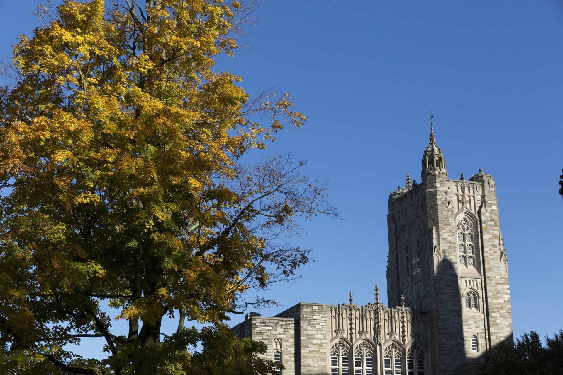 Princeton University Achtergrond