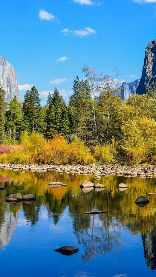 Priorità Bassa Di Iphone Di Autunno