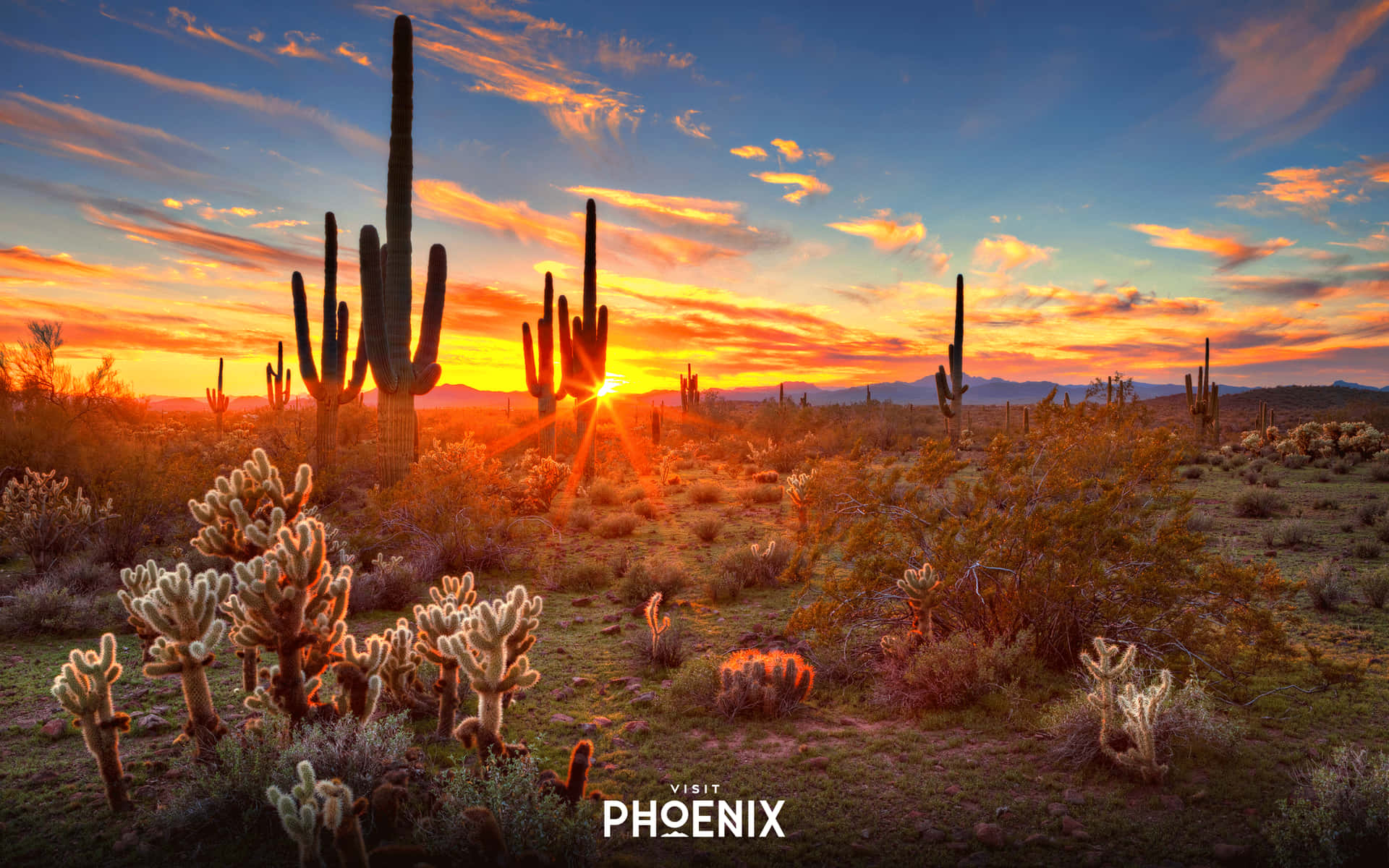 Priorità Bassa Di Phoenix Arizona