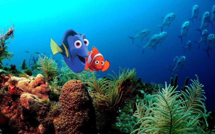 Procurando Nemo Papel de Parede