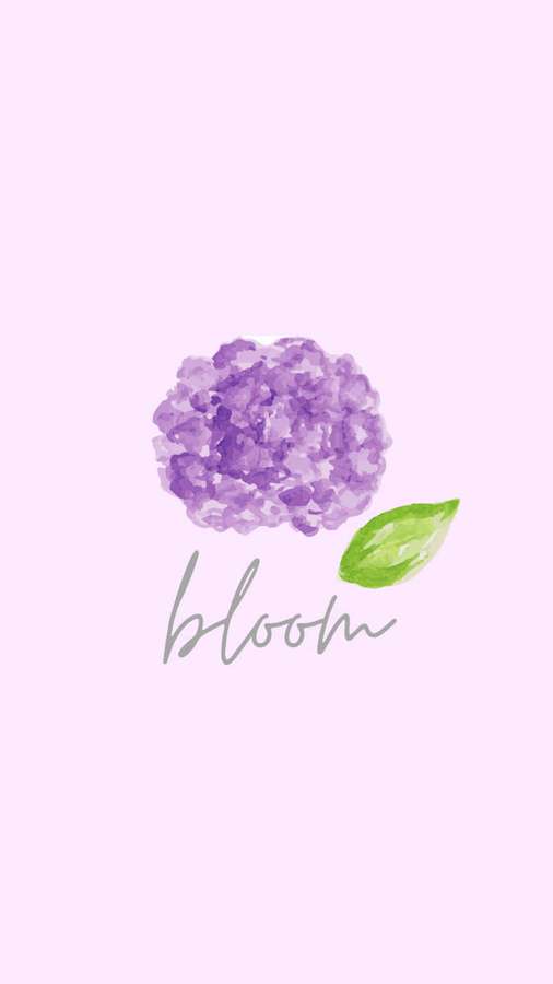Purple hydrangea flower with green leaf and word bloom in gray script on pink background — Proper Wallpaper