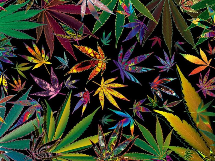 Psychedelic cannabis leaves in rainbow colors on black background — Psychedelic Weed Wallpaper