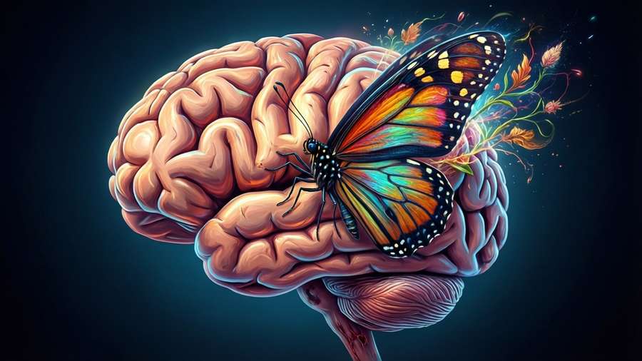 A brain giving rise to a butterfly, symbolizing transformation and beauty after PTSD healing. — Ptsd Wallpaper