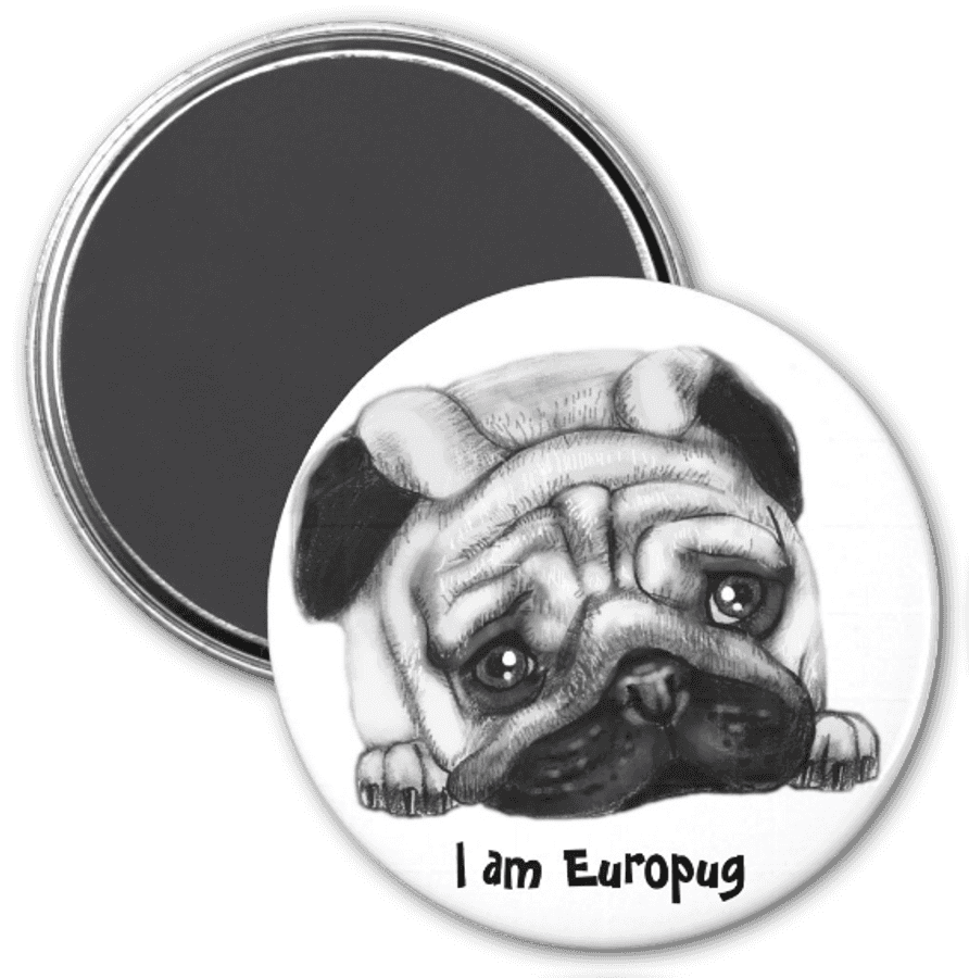 [300+] Pug Png Images | Wallpapers.com