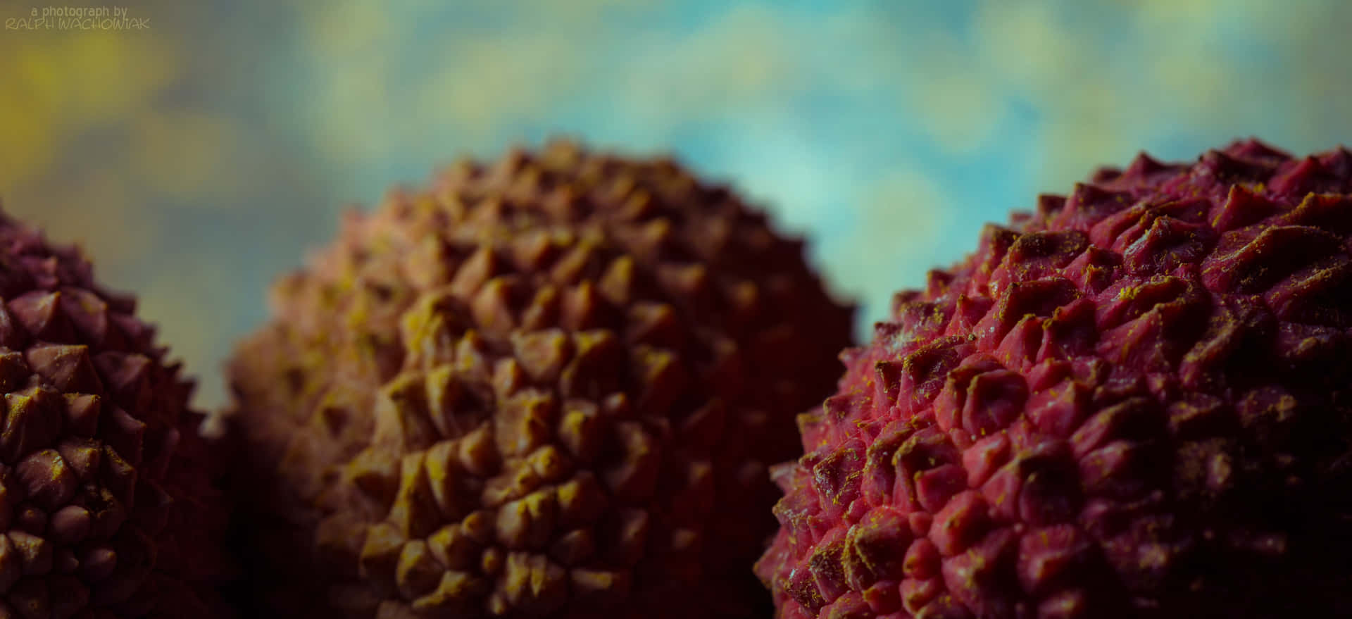 Pulasan Fond d'écran