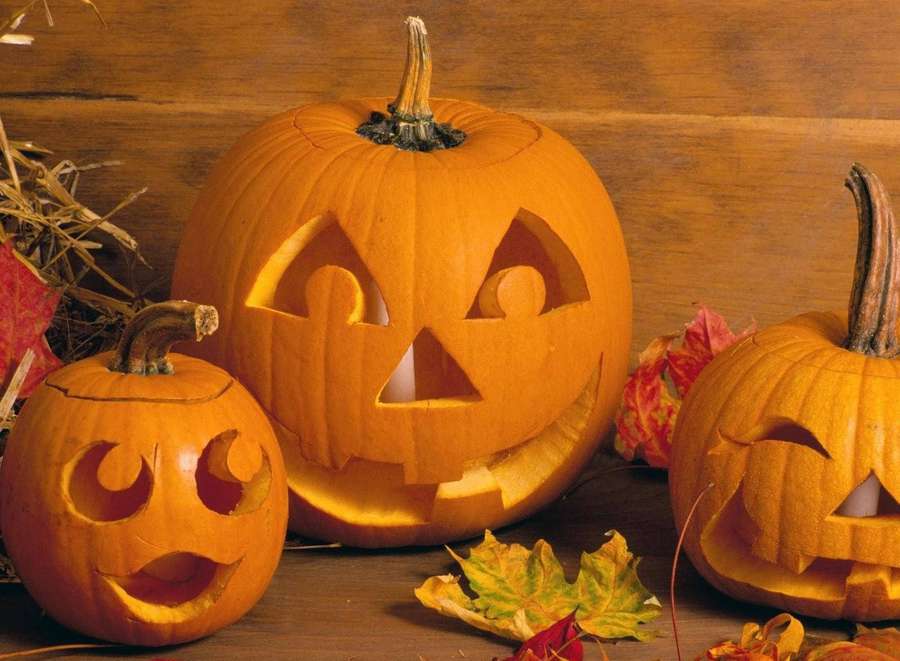 Tre udskårne græskar med glødende ansigter på et træbord med efterårsblade. — Pumpkin Wallpapers