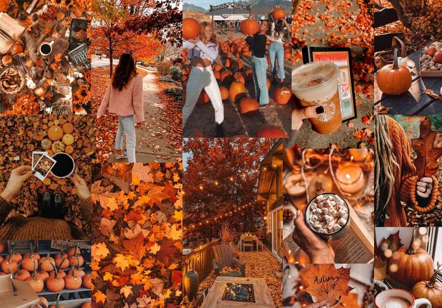 Herbstcollage mit Kürbissen, Blättern, Kaffee und gemütlichen saisonalen Momenten. — Pumpkin Patch Bilder