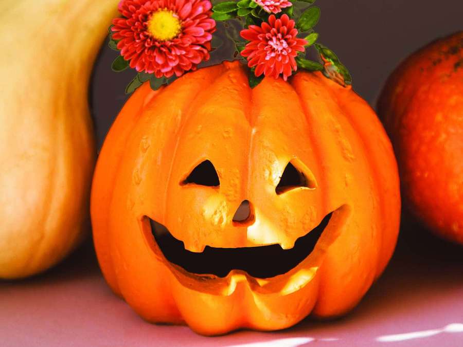 Carved jack-o'-lantern with red flowers glowing warmly beside squash. — Pumpkin Picture