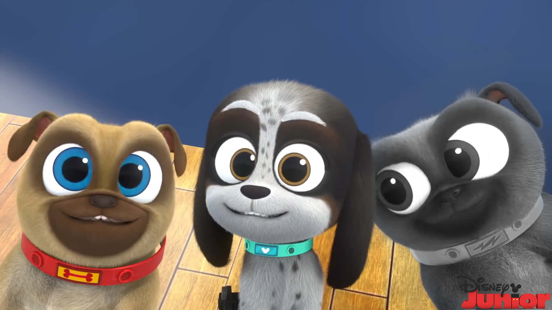 Puppy Dog Pals Wallpaper