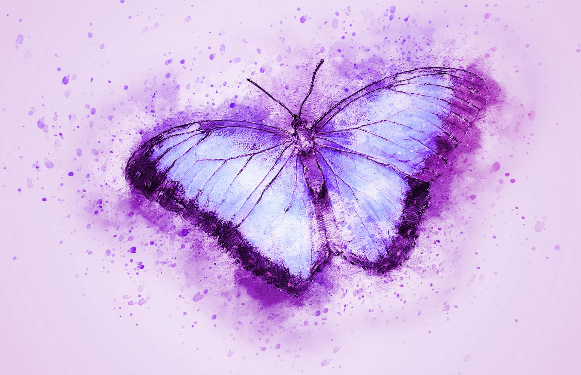 Purple Butterfly Background Wallpaper