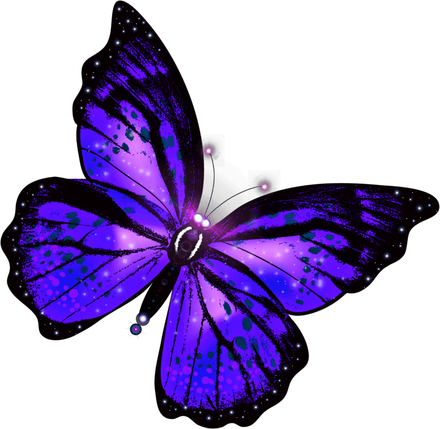 Purple Butterfly Png