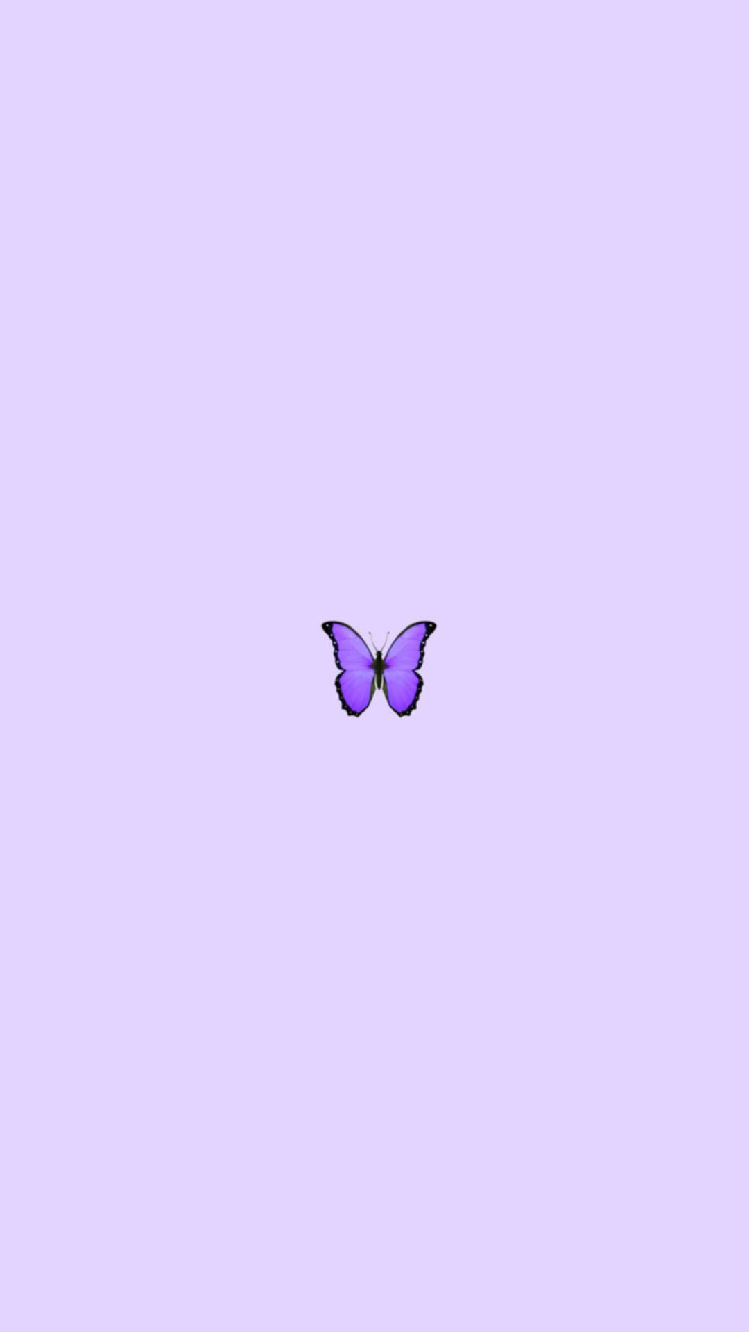 Purple Butterfly Telefon Wallpaper